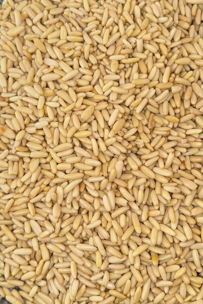 Pine Nuts