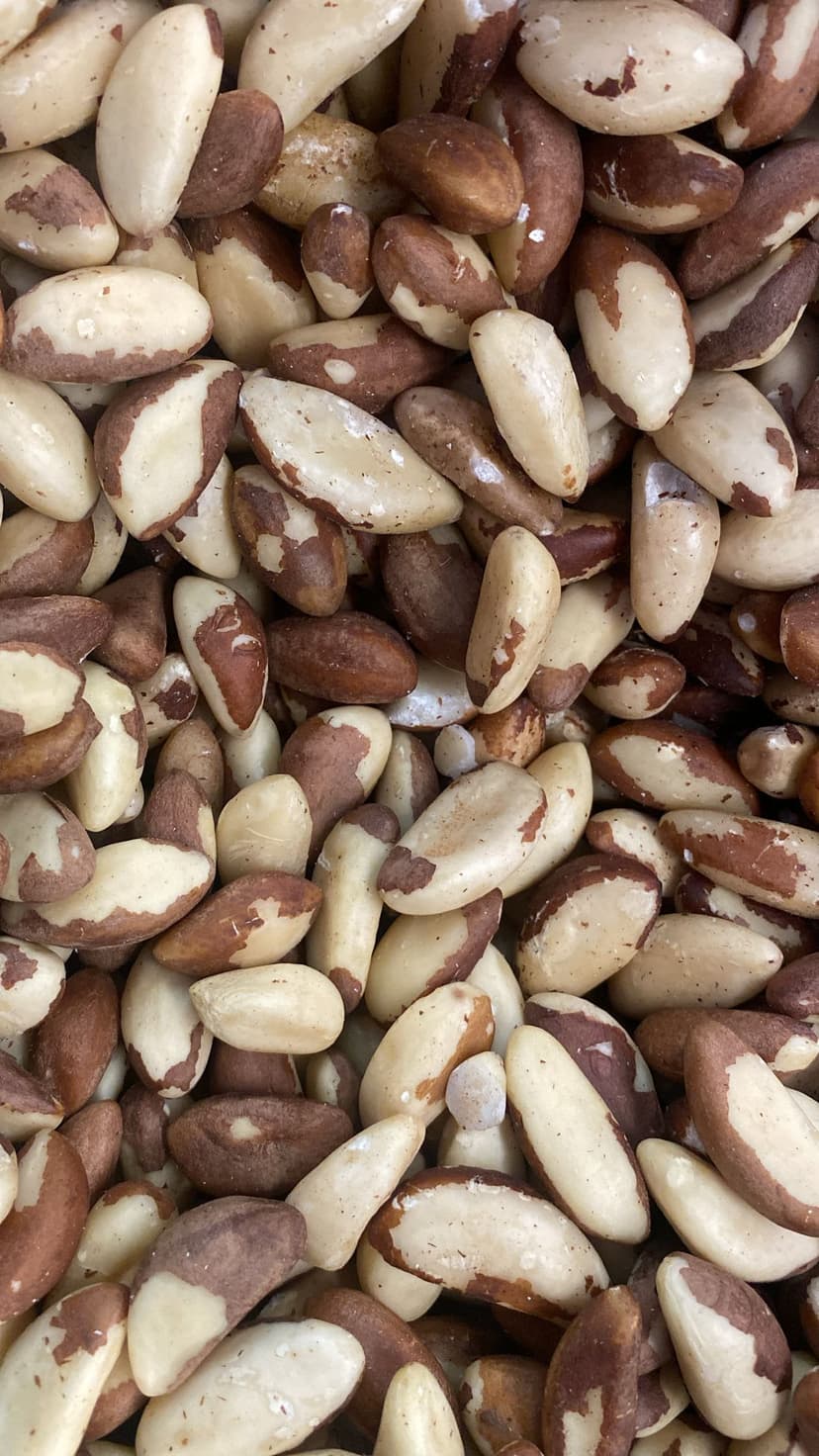 Brazilian nuts