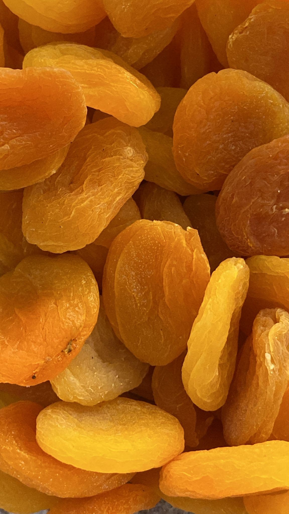 Turkish Apricot