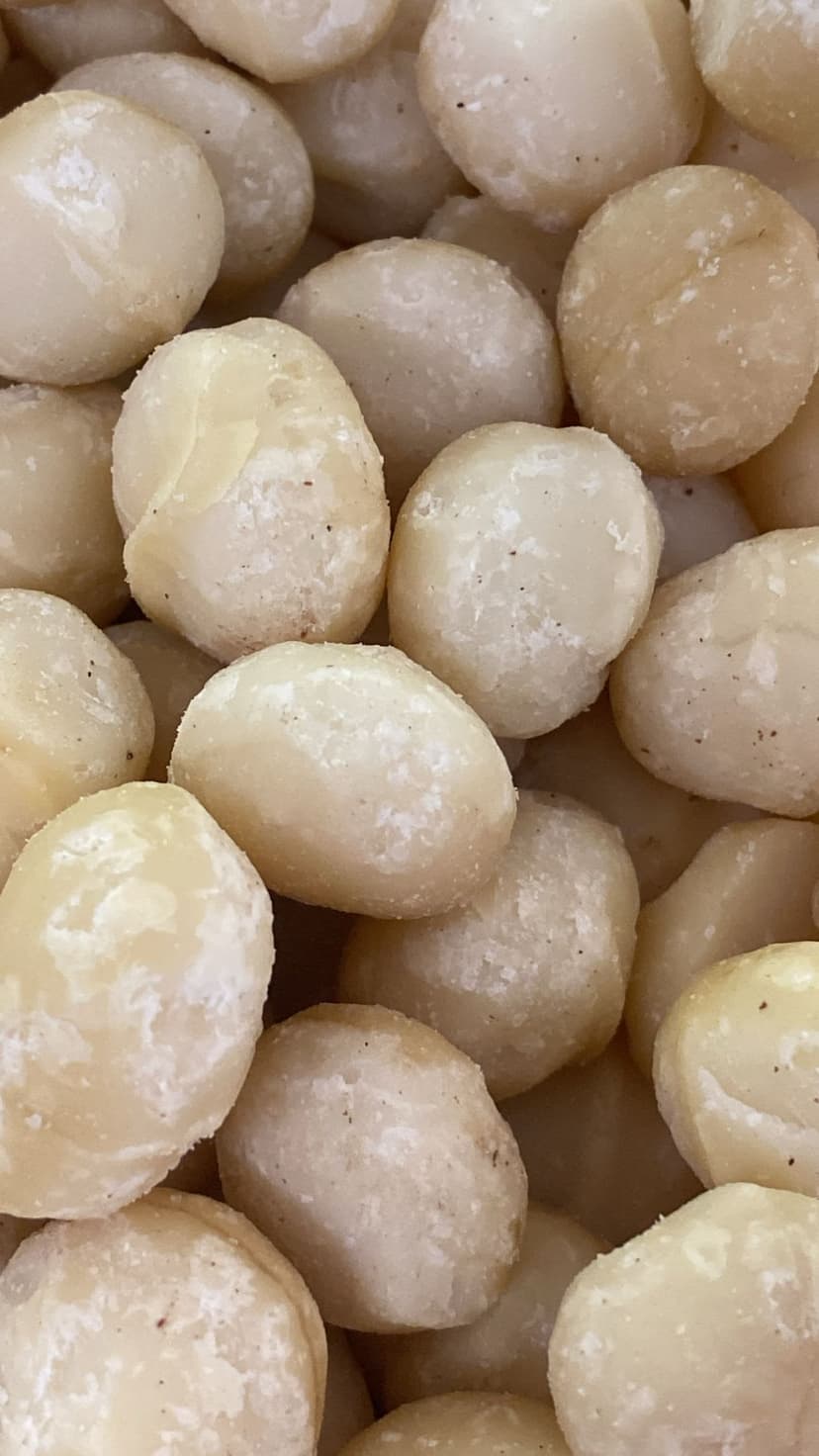 Macadamia