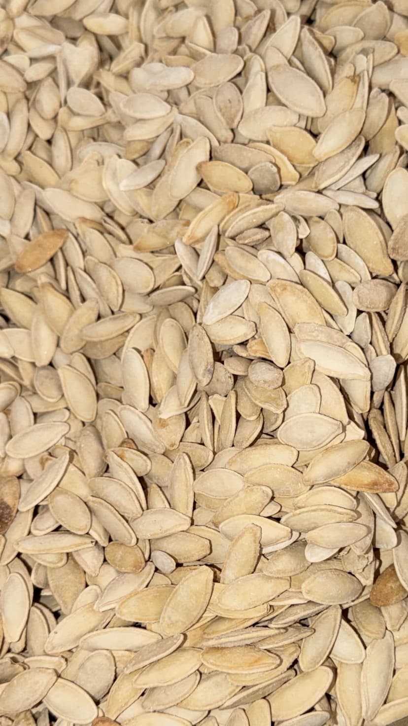 Turkish Melon Seeds