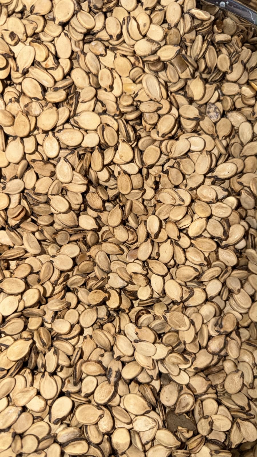 Iranian Melons Seeds Lemon