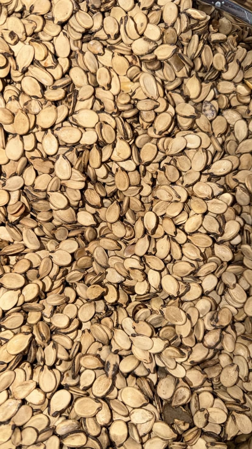 Iranian Melons Seeds Lemon